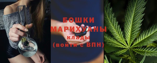 гидропоника Белокуриха