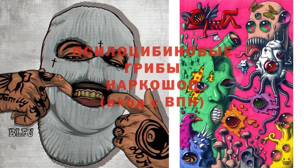 гидропоника Белокуриха
