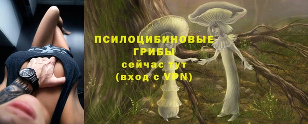 гидропоника Белокуриха