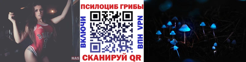 хочу наркоту  mega рабочий сайт  Галлюциногенные грибы Psilocybe  Цоци-Юрт 